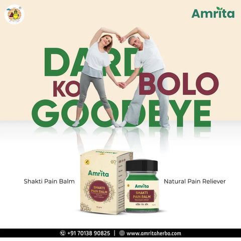 Amrita Shakti Pain Balm (Pack of 3)